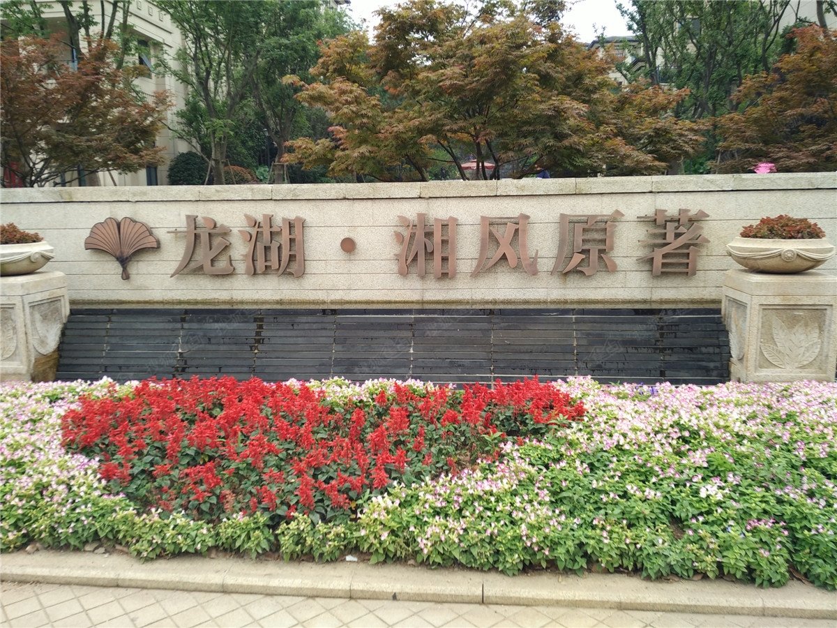 十年后仍爱我家